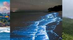 Best 6 Places to Stay in Puerto Rico – Top Hotels & Resorts for an Amazing Island Stay