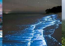 Best 6 Places to Stay in Puerto Rico – Top Hotels & Resorts for an Amazing Island Stay