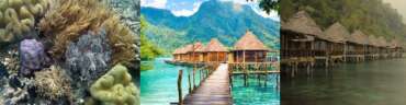 Ora Beach Indonesia