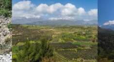 Crete Greece